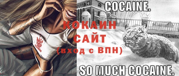 сатива Киренск