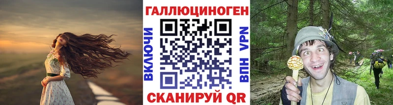 Псилоцибиновые грибы Psilocybine cubensis  Купить закладки  Златоуст 